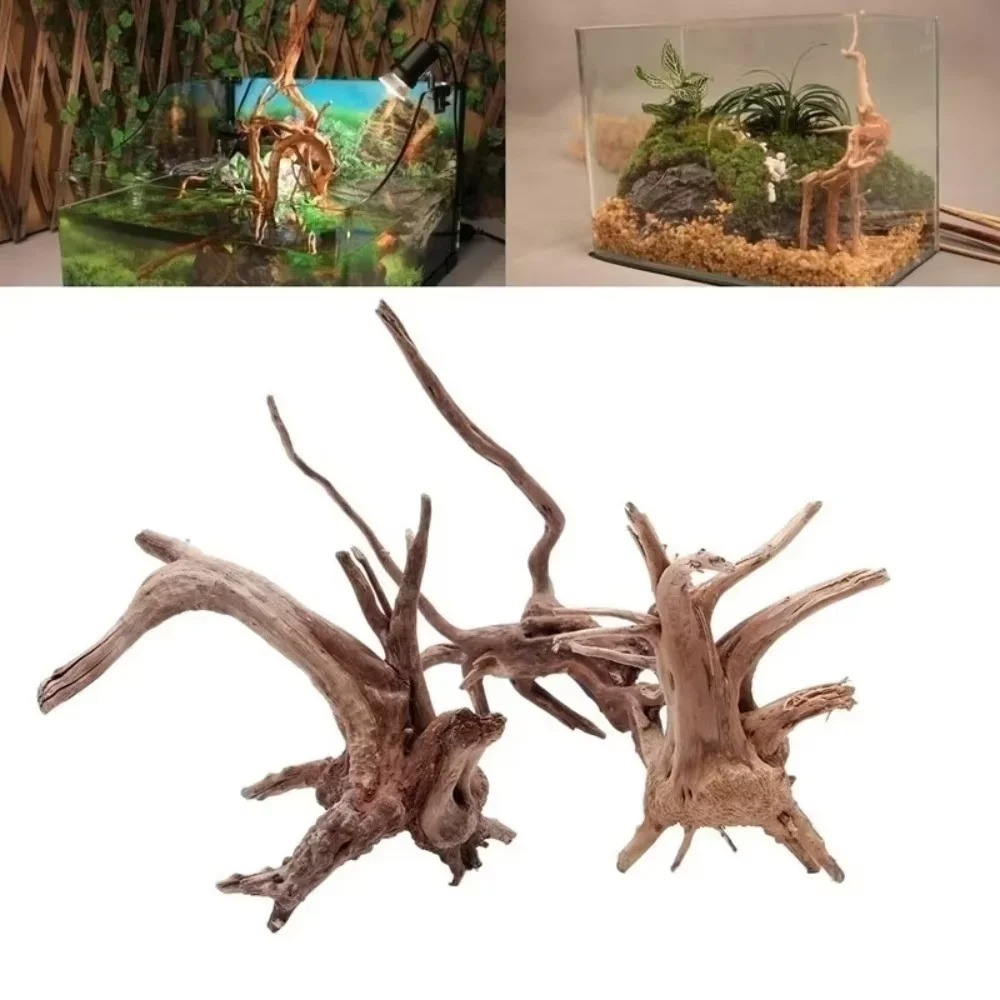 Aquarium Fish Land - 15-20CM Natürliches Treibholz Aquarium-Dekoration - Premium