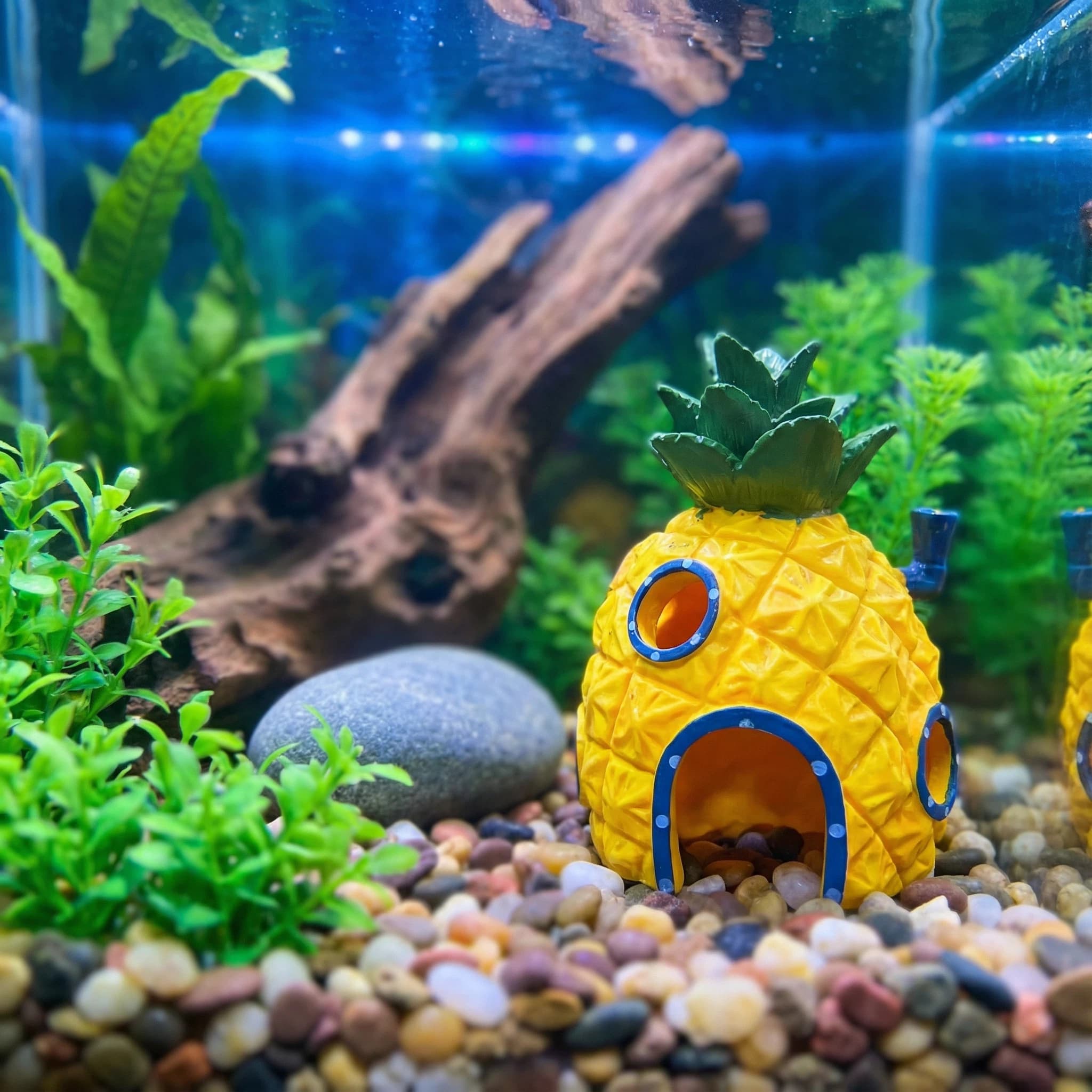 Aquarium Fish Hide - Ananas-Haus-Aquarium-Dekoration, umweltfreundliche Versteckhöhle aus Kunstharz für