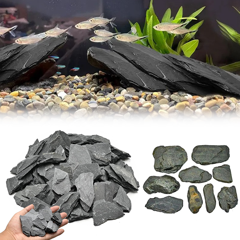 500/1000g Aquarium-Landschafts – Aquarium Fish Land Bewertung und Preis