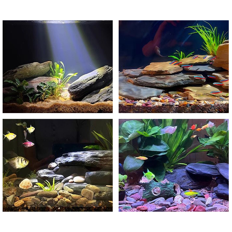 500/1000g Aquarium-Landschafts – Aquarium Fish Land Bewertung und Preis