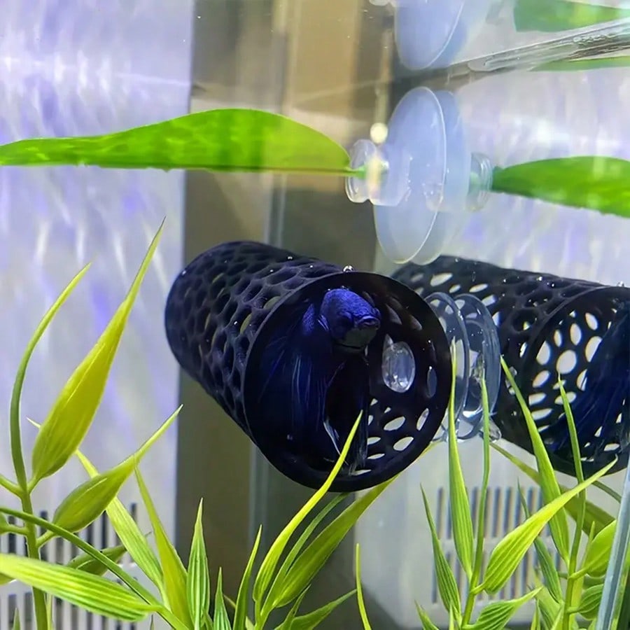 Aquarium-Fischversteck, schwar – Aquarium Fish Black Bewertung und Preis