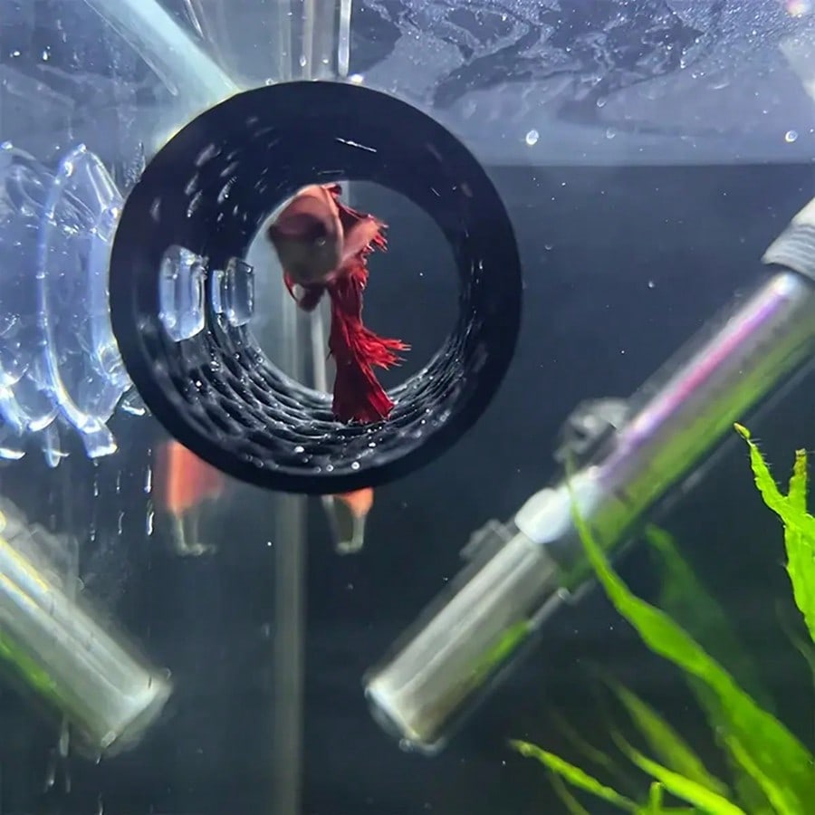 Aquarium-Fischversteck, schwar – Aquarium Fish Black Bewertung und Preis