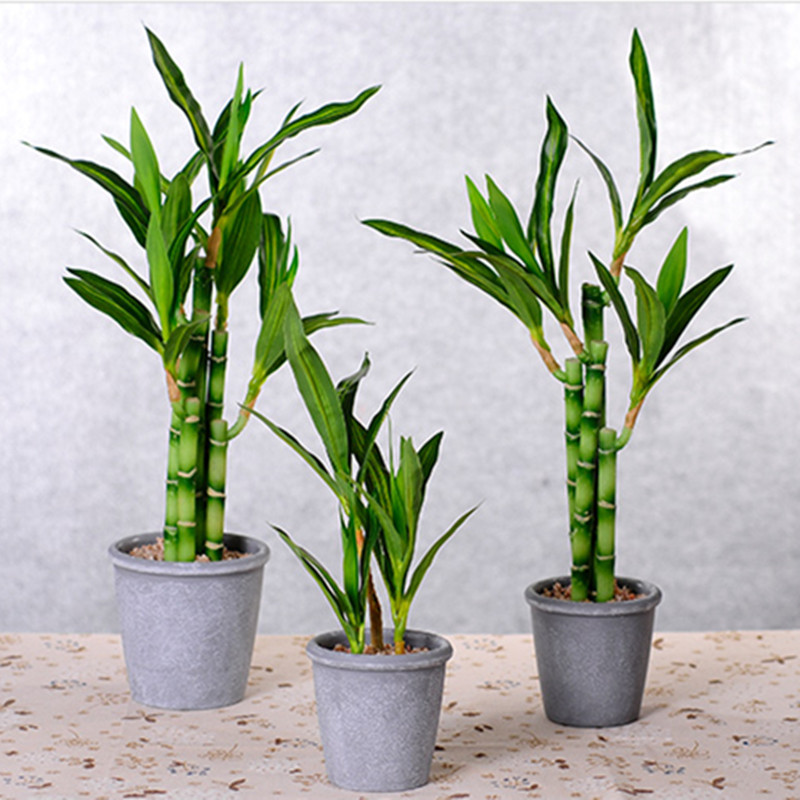 Neue 40 cm rFtificial Lucky Ba – Aquarium Fish Land Bewertung und Preis
