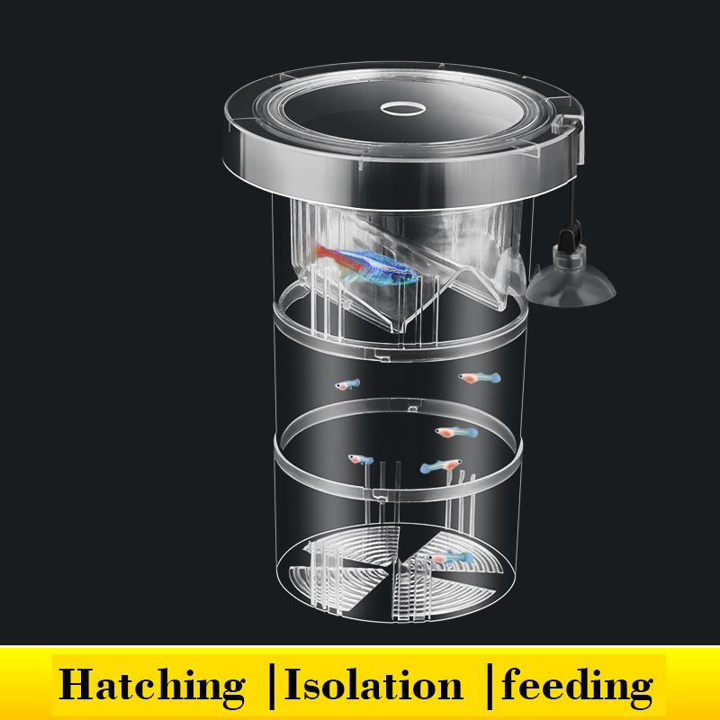 Schwimmende Fische Zucht Isola – Aquarium Fish Accessories Bewertung und Preis
