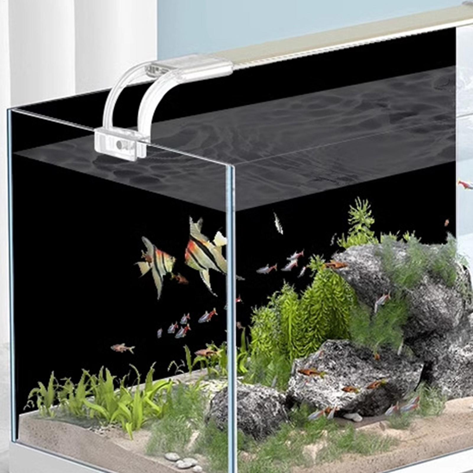 Schwarzer Aquarium-Hintergrund – Aquarium Fish Black Bewertung und Preis