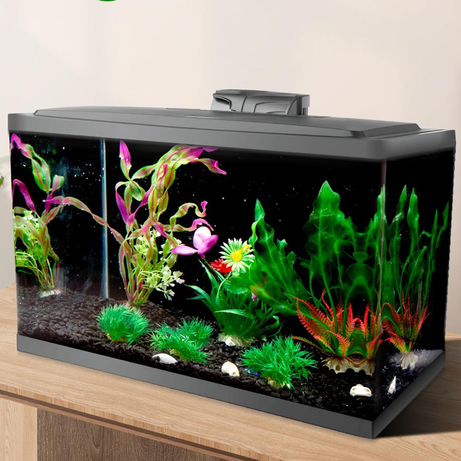 Schwarzer Aquarium-Hintergrund – Aquarium Fish Black Bewertung und Preis