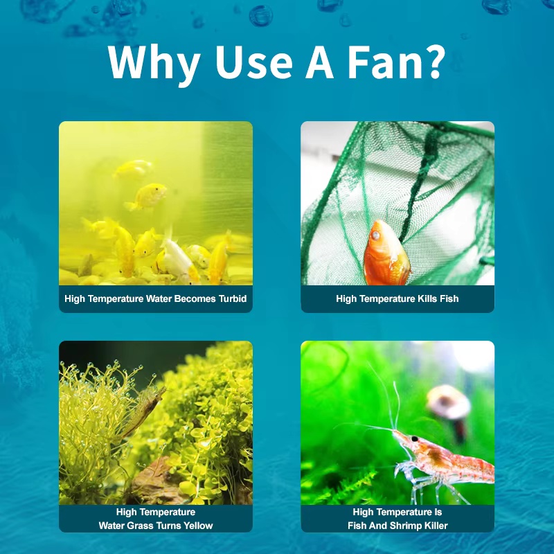 Jebao Jecod ACF-Serie Aquarium – Fish Co Aquarium Bewertung und Preis