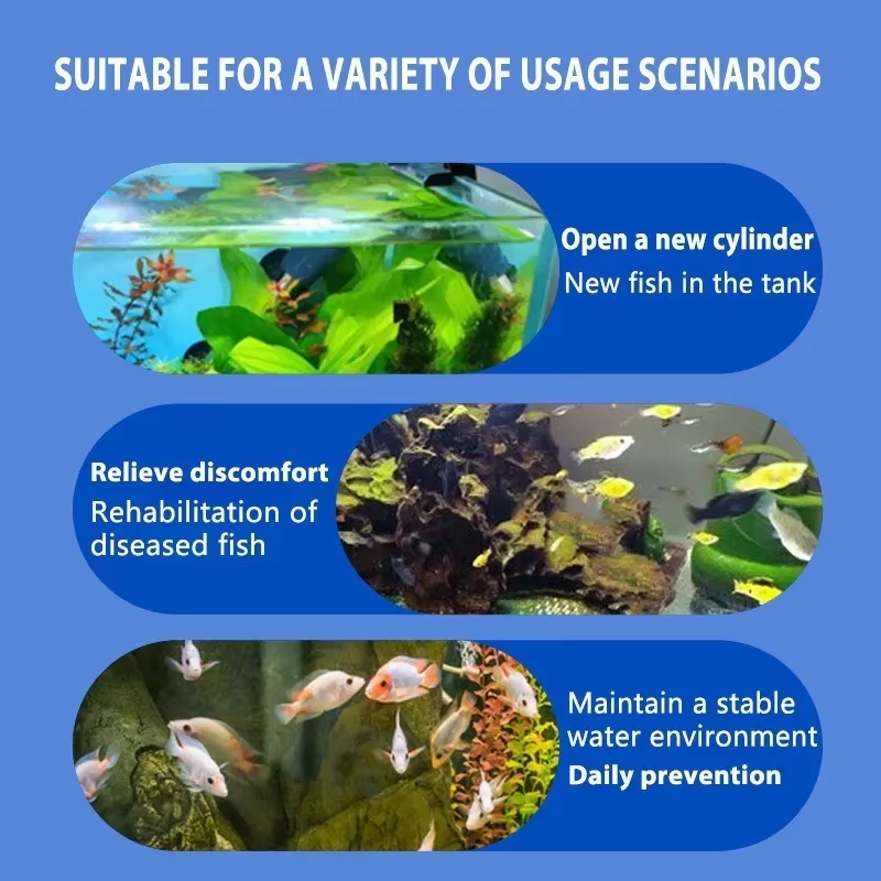 SIKEZHAN Behandlung von Fische – Aquarium Fish Freshwater Bewertung und Preis