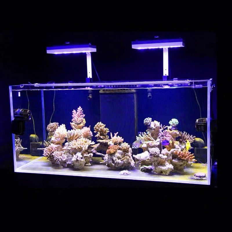 Aqua Lighting AI Hydra 32HD/64 – Aquarium Fish Black Bewertung und Preis