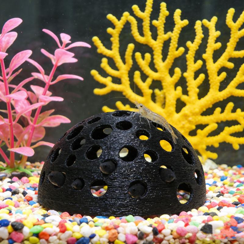 Versteckte Höhle für kleine Fi – Aquarium Fish Hide Bewertung und Preis