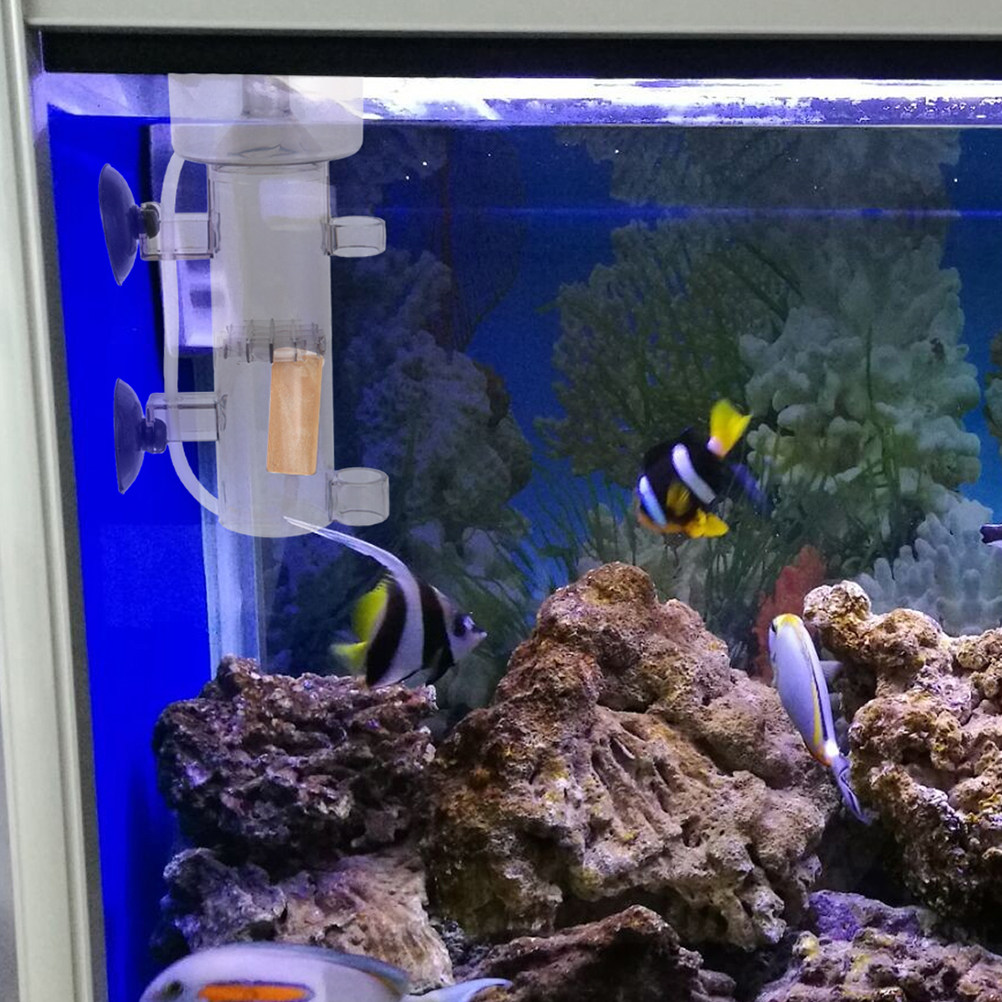 Proteinabschäumer aus Acryl fü – Aquarium Fish Accessories Bewertung und Preis