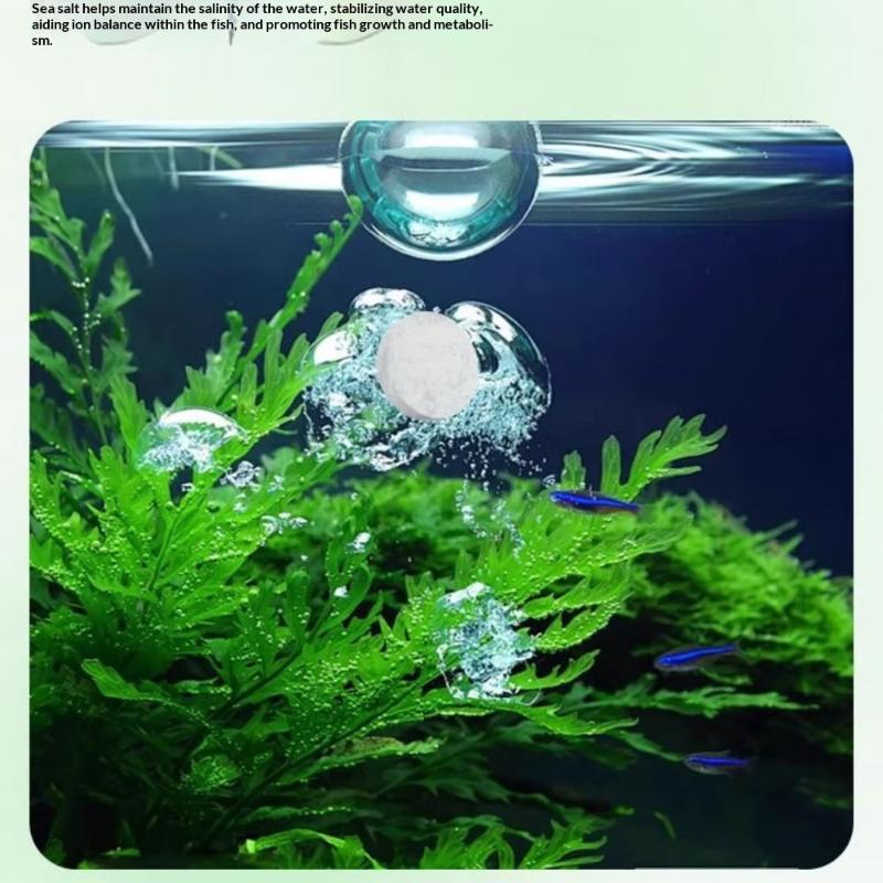 Aquarium-Algenreiniger-Tablett – Aquarium Fish Black Bewertung und Preis