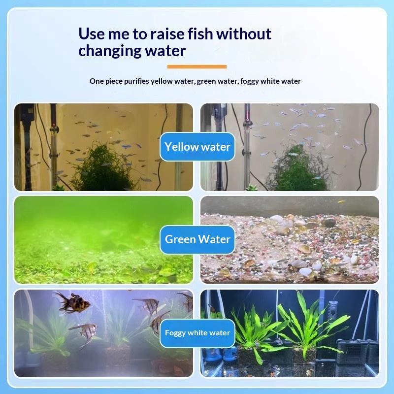 Aquarium-Algenreiniger-Tablett – Aquarium Fish Black Bewertung und Preis