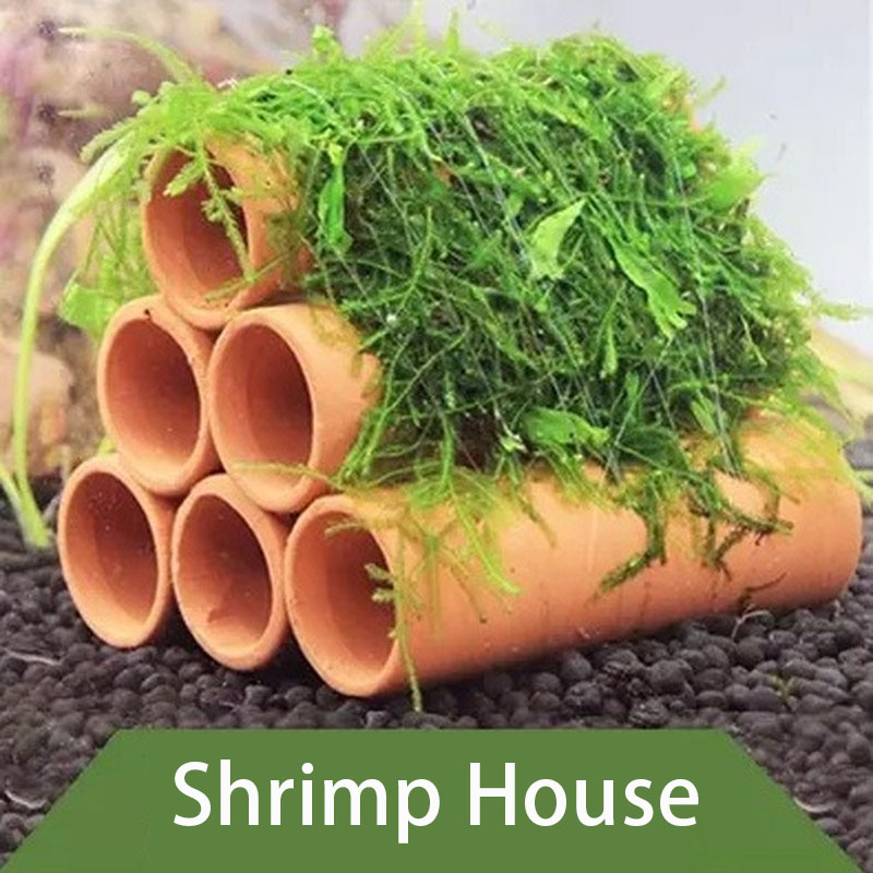 Ton Aquarium Dekoration Fisch  – Aquarium Fish Hide Bewertung und Preis