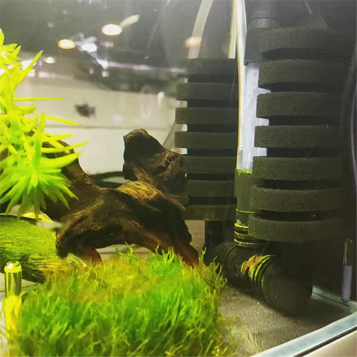【MUST-HAVE LIST】 Aquariumfilte – Aquarium Fish List Bewertung und Preis