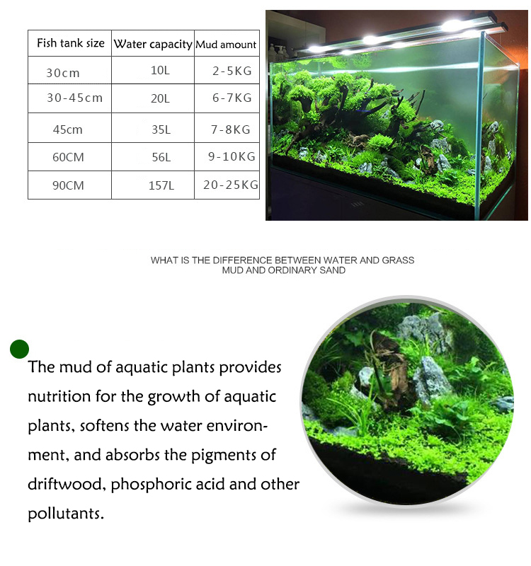 Aquarium Pflanzen Samen Boden  – Aquarium Fish Freshwater Bewertung und Preis