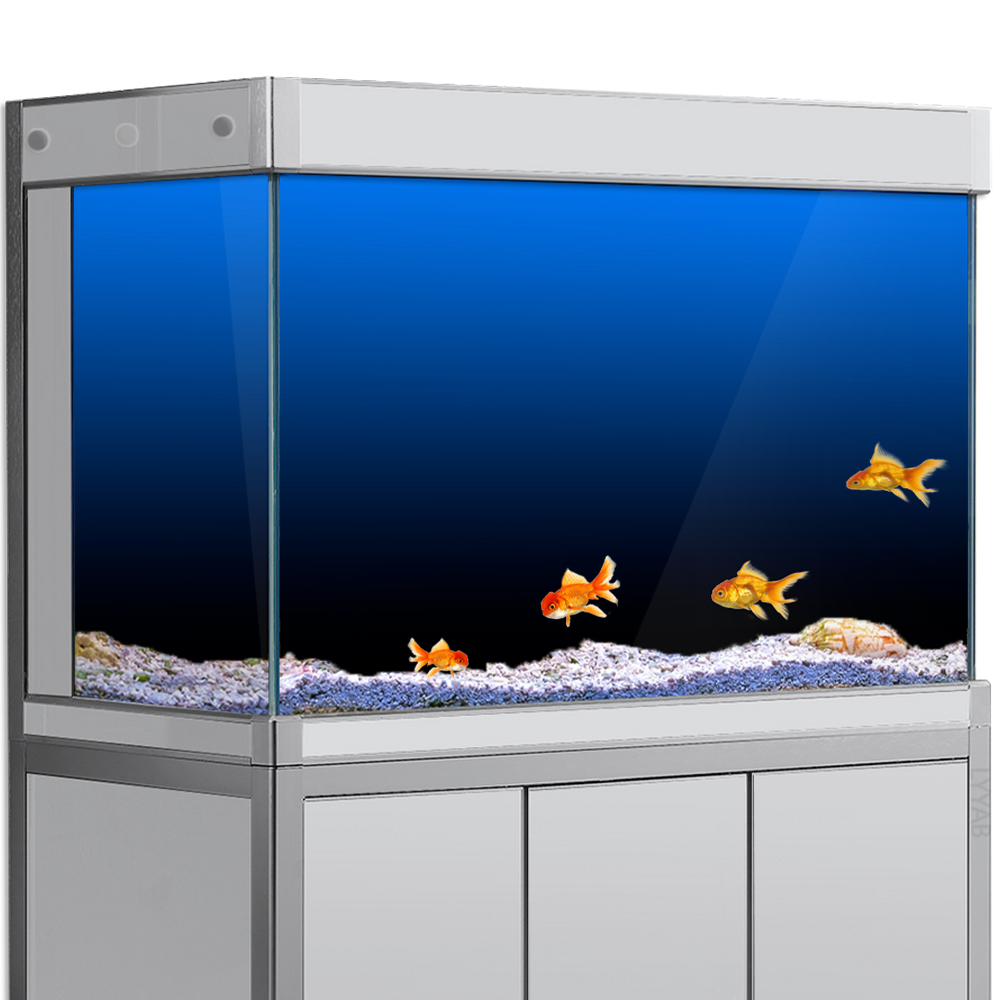 Aquarium Hintergrund Aufkleber – Aquarium Fish Black Bewertung und Preis