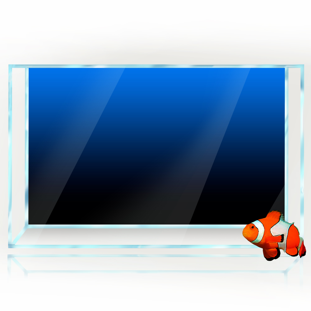 Aquarium Hintergrund Aufkleber – Aquarium Fish Black Bewertung und Preis
