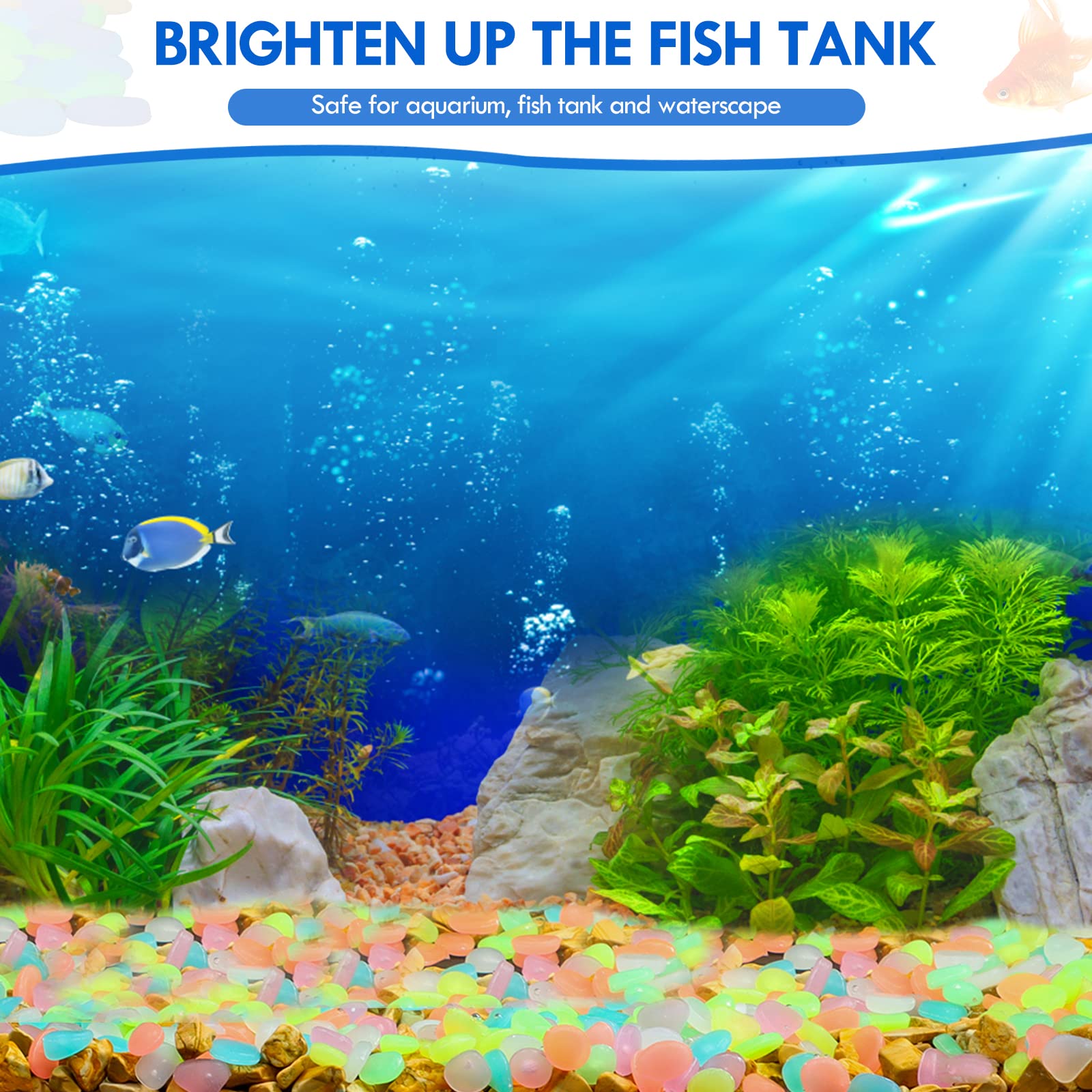 100 Stück im Dunkeln leuchtend – Aquarium Fishing Bewertung und Preis