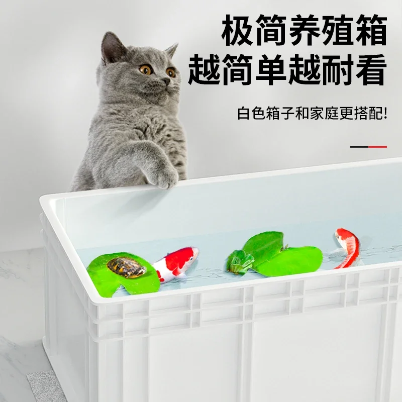 Professionelles Schildkrötenbe – Fish Co Aquarium Bewertung und Preis