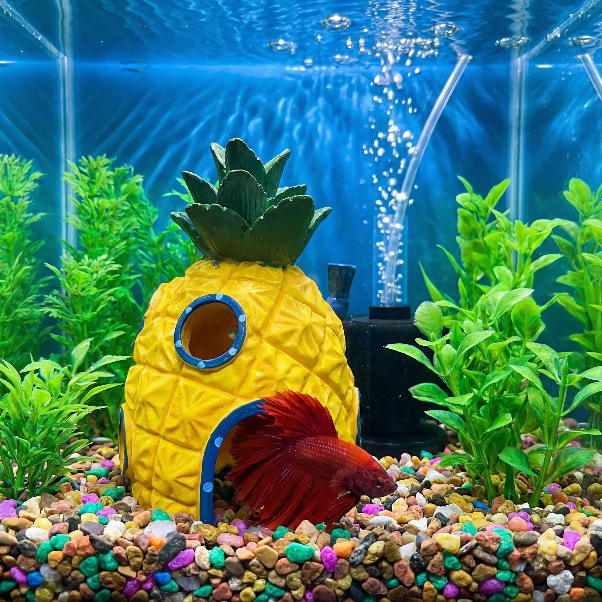 Ananas-Haus-Aquarium-Dekoratio – Aquarium Fish Hide Bewertung und Preis
