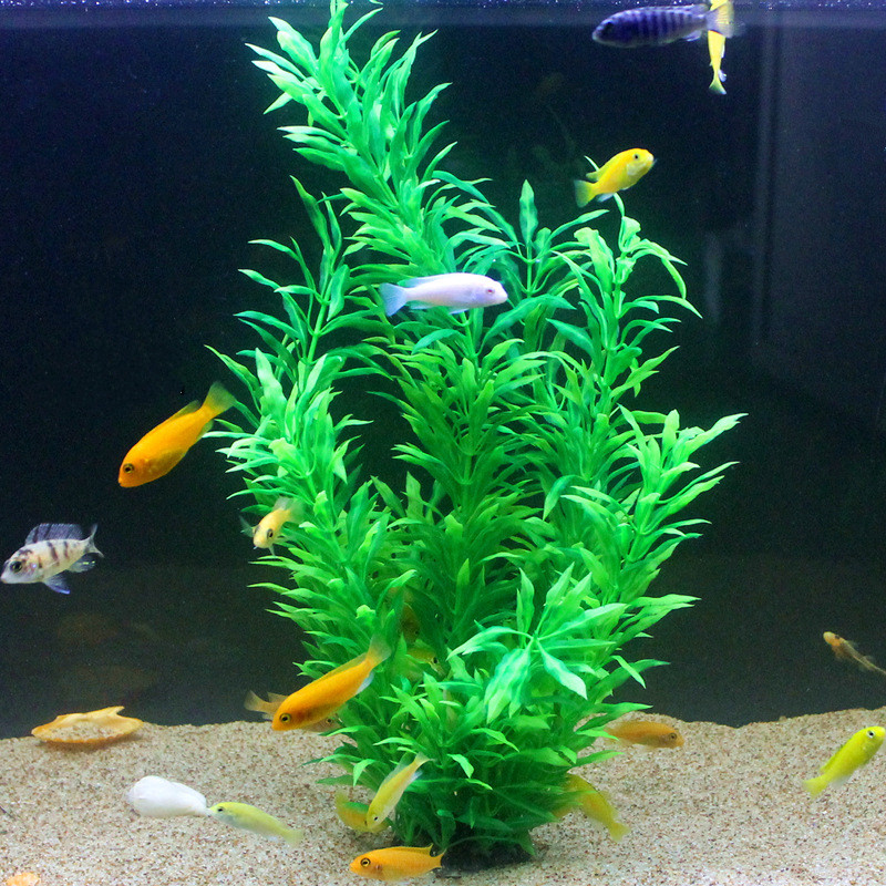 50CM Künstliche Aquarium Selte – Aquarium Fishing Bewertung und Preis