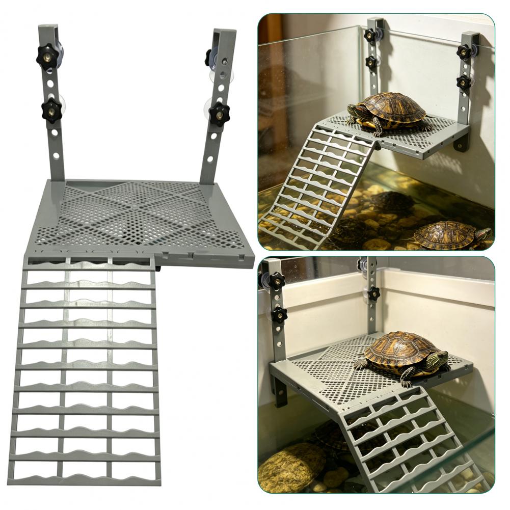 Aquarium-Dekoration: Feste Hän – Aquarium Fish Land Bewertung und Preis