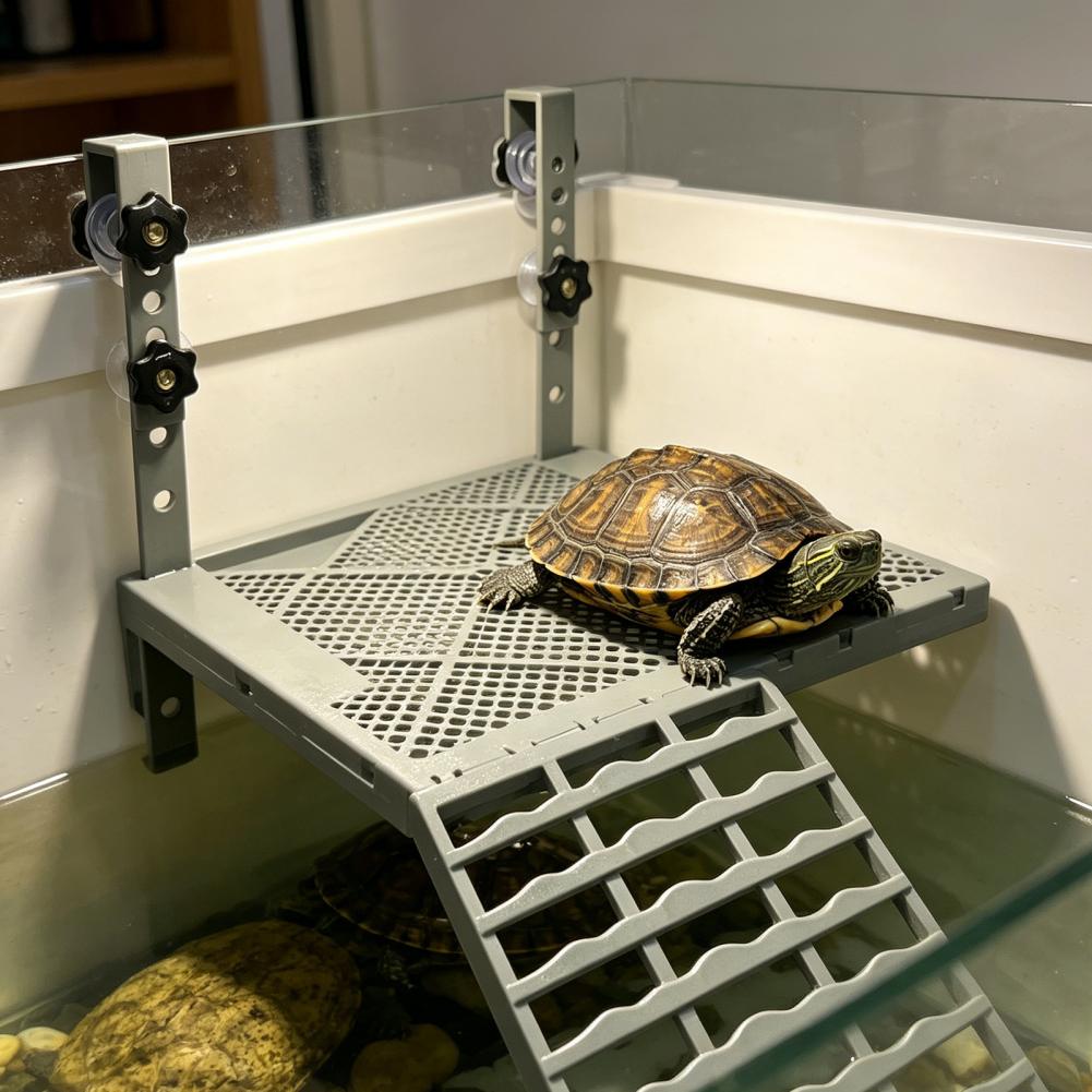 Aquarium-Dekoration: Feste Hän – Aquarium Fish Land Bewertung und Preis