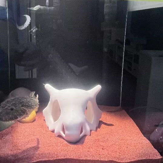 3D-gedruckter Fisch, Garnelen, – Aquarium Fish Hide Bewertung und Preis